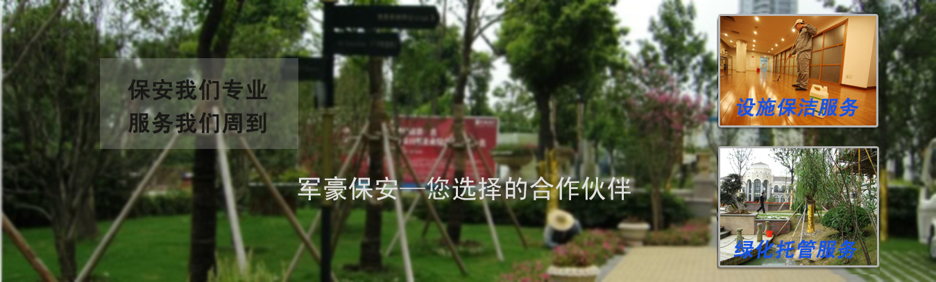 技術(shù)能力強(qiáng)